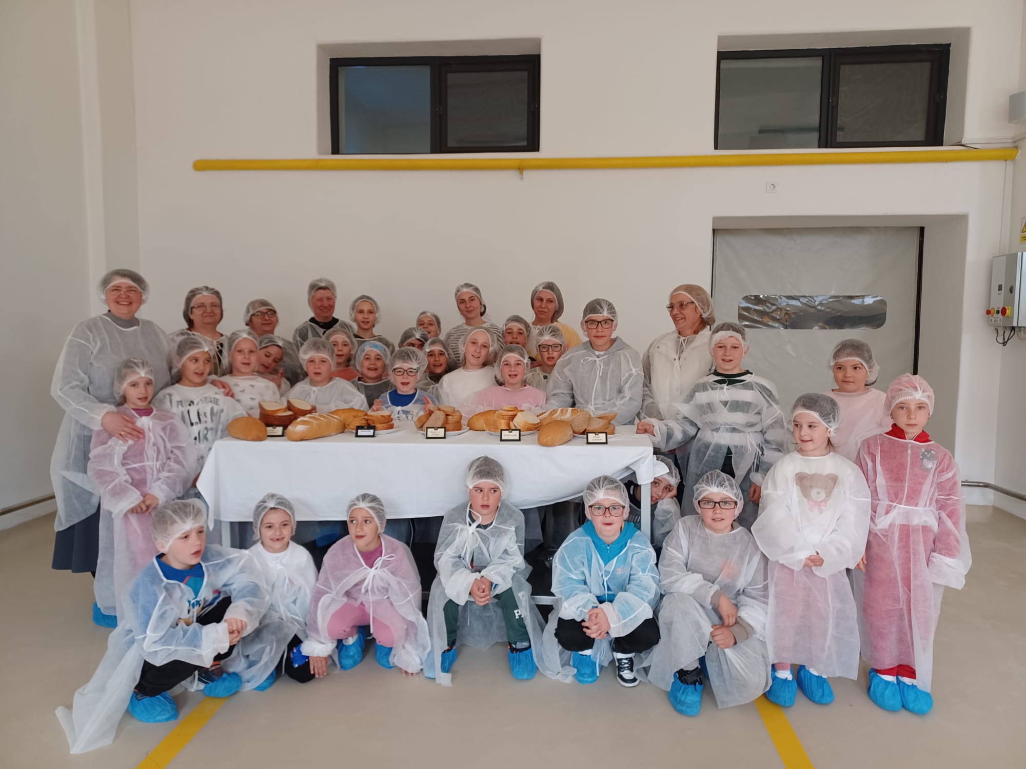 O zi cu „miros de pâine caldă” – Vizită educativă la Fabrica Panimon